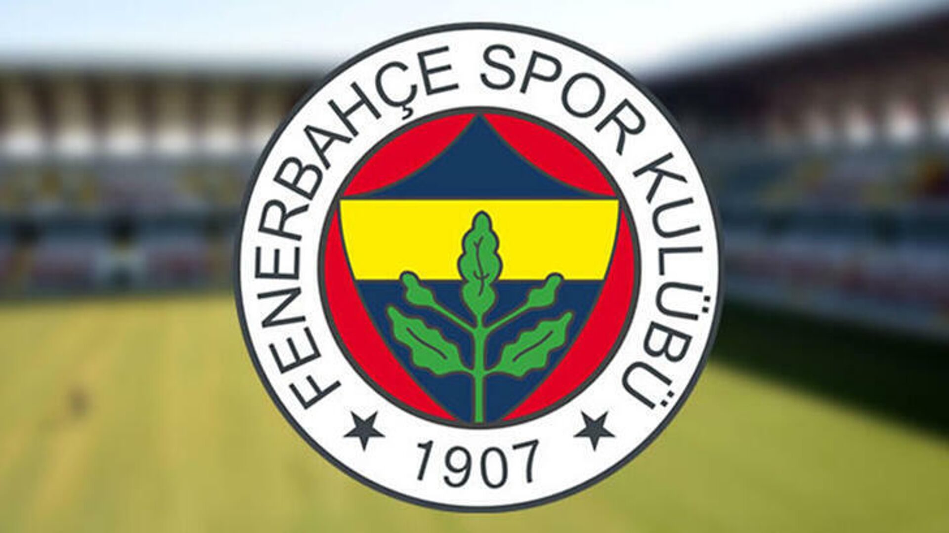 fenerbahçe haberleri